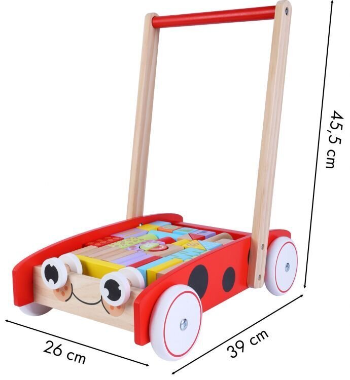 Puidust käru Eco Toys Walker, 2112 hind ja info | Imikute mänguasjad | kaup24.ee