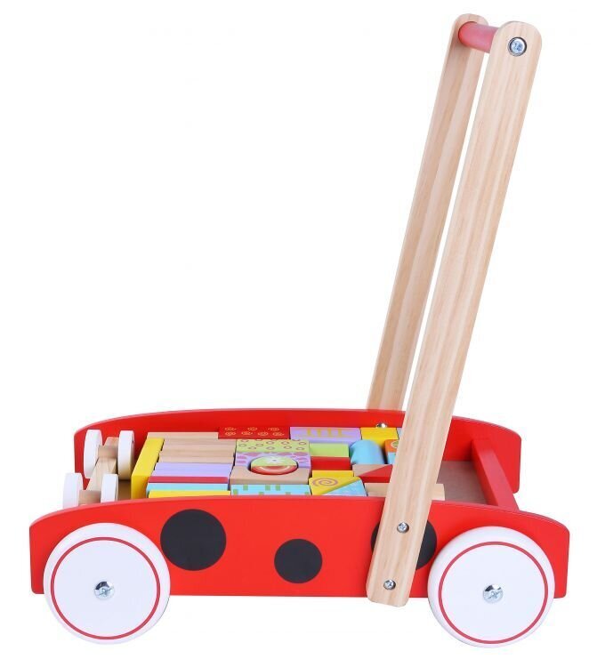 Puidust käru Eco Toys Walker, 2112 hind ja info | Imikute mänguasjad | kaup24.ee