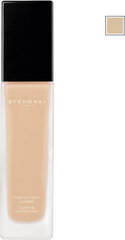 Jumestuskreem Stendhal Glowing Foundation 220 Sable, 30ml hind ja info | Jumestuskreemid, puudrid | kaup24.ee