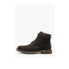 Зимние мужские ботинки Rylko, коричневые цена и информация | Мужские ботинки | kaup24.ee