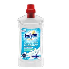 Universaalne pesuvahend Kaylon White Flowers, 1L hind ja info | Puhastusvahendid | kaup24.ee