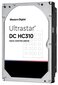 Western Digital Ultrastar DC HC310 цена и информация | Sisemised kõvakettad (HDD, SSD, Hybrid) | kaup24.ee
