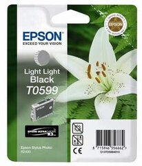 Epson T0599 цена и информация | Картриджи для струйных принтеров | kaup24.ee