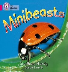 Minibeasts: Band 01a/Pink a цена и информация | Книги для подростков и молодежи | kaup24.ee