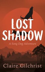 Lost Shadow цена и информация | Книги для подростков и молодежи | kaup24.ee