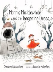 Morris Micklewhite and the Tangerine Dress hind ja info | Noortekirjandus | kaup24.ee