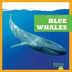 Blue Whales hind ja info | Noortekirjandus | kaup24.ee
