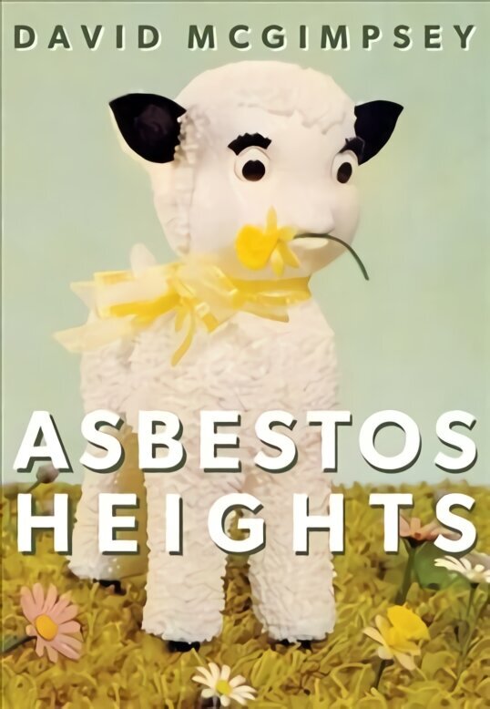 Asbestos Heights hind ja info | Luule | kaup24.ee