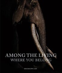 Among the Living: Where You Belong hind ja info | Fotograafia raamatud | kaup24.ee