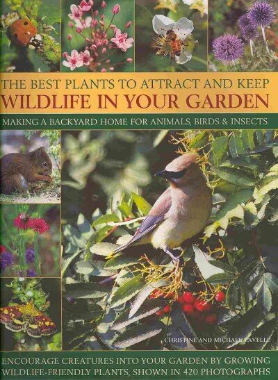 Best Plants to Attract and Keep Wildlife in the Garden hind ja info | Aiandusraamatud | kaup24.ee