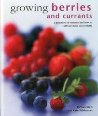 Growing Berries and Currants: A Directory of Varieties and How to Cultivate Them Successfully hind ja info | Aiandusraamatud | kaup24.ee