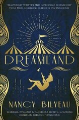 Dreamland цена и информация | Фантастика, фэнтези | kaup24.ee