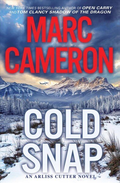 Cold Snap: An Action Packed Novel of Suspense цена и информация | Fantaasia, müstika | kaup24.ee