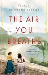 Air You Breathe: A Novel цена и информация | Фантастика, фэнтези | kaup24.ee