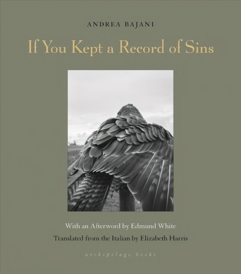 If You Kept A Record Of Sins цена и информация | Fantaasia, müstika | kaup24.ee