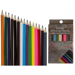 Värvilised pliiatsid, 15 tooni hind ja info | Kunstitarbed, voolimise tarvikud | kaup24.ee