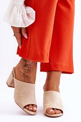 Naiste sandaalid, pruunid hind ja info | Naiste sandaalid | kaup24.ee