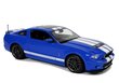 Kaugjuhitav auto Ford Shelby Rastar hind ja info | Poiste mänguasjad | kaup24.ee