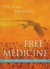 Free Medicine: Meditations on Nondual Awakening hind ja info | Usukirjandus, religioossed raamatud | kaup24.ee