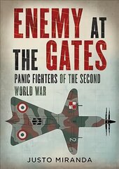 Enemy at the Gates: Panic Fighters of the Second World War цена и информация | Книги по социальным наукам | kaup24.ee