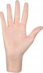 Одноразовые виниловые перчатки Mercator Vinylex, размер M, 100 шт. цена и информация | Аптечки | kaup24.ee