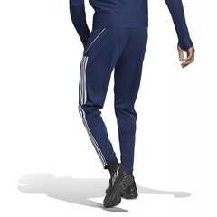 Meeste treeningpüksid Adidas, sinised цена и информация | Мужская спортивная одежда | kaup24.ee