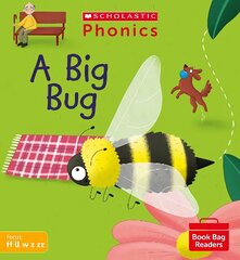 A Big Bug (Set 3) цена и информация | Книги для подростков и молодежи | kaup24.ee