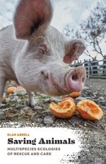 Saving Animals: Multispecies Ecologies of Rescue and Care цена и информация | Книги по социальным наукам | kaup24.ee