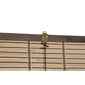 Ruloo DKD Home Decor Naturaalne Bambus (90 x 2 x 175 cm) hind ja info | Voldikkardinad | kaup24.ee