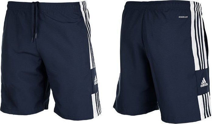 Meeste lühikesed püksid Adidas, sinine hind ja info | Meeste spordiriided | kaup24.ee