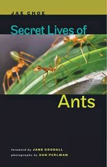 Secret Lives of Ants hind ja info | Tervislik eluviis ja toitumine | kaup24.ee