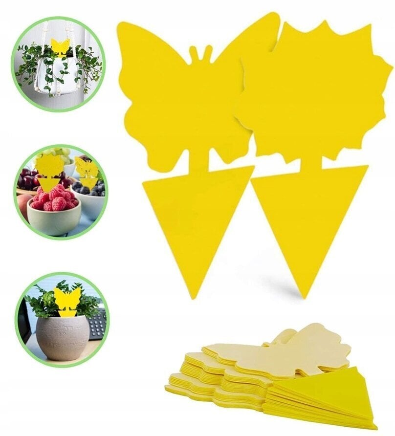 Putukate ja mardikate vastased kleebised pottides, 24 tk hind ja info | Sääsetõrjevahendid | kaup24.ee