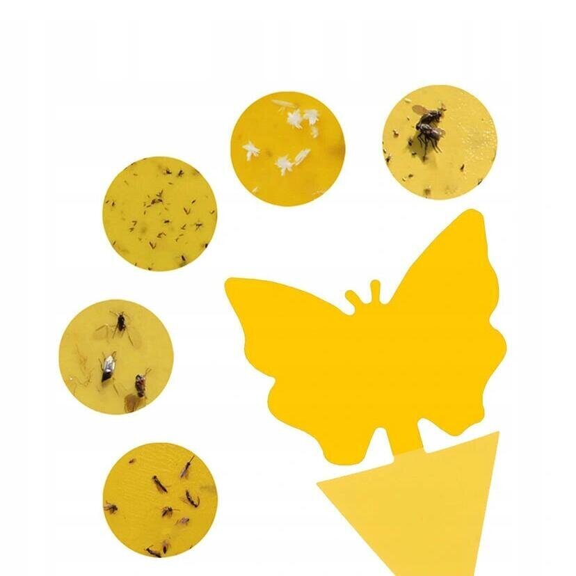 Putukate ja mardikate vastased kleebised pottides, 24 tk hind ja info | Sääsetõrjevahendid | kaup24.ee