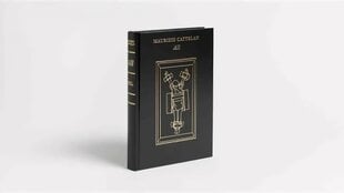 Maurizio Cattelan: All цена и информация | Книги об искусстве | kaup24.ee
