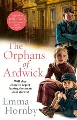 Orphans of Ardwick цена и информация | Фантастика, фэнтези | kaup24.ee