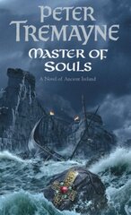 Master Of Souls (Sister Fidelma Mysteries Book 16): A chilling historical mystery of secrecy and danger цена и информация | Фантастика, фэнтези | kaup24.ee