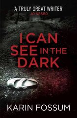 I Can See in the Dark цена и информация | Фантастика, фэнтези | kaup24.ee