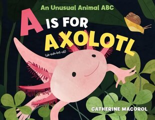 Is for Axolotl: An Unusual Animal ABC цена и информация | Книги для малышей | kaup24.ee