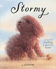 Stormy: A Story About Finding a Forever Home hind ja info | Väikelaste raamatud | kaup24.ee