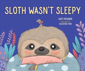 Sloth Wasn't Sleepy цена и информация | Книги для малышей | kaup24.ee