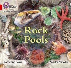 Rock Pools: Band 02b/Red B цена и информация | Книги для малышей | kaup24.ee