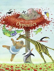 Opposites цена и информация | Книги для малышей | kaup24.ee