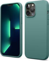 Soundberry silicone iPhone 13 Pro, Cactus цена и информация | Чехлы для телефонов | kaup24.ee