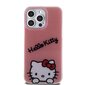 Hello Kitty ümbris Apple iPhone 15 jaoks hind ja info | Telefoni kaaned, ümbrised | kaup24.ee