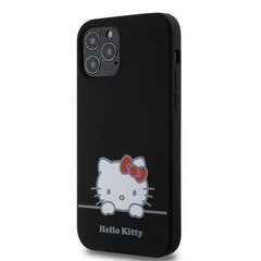 Hello Kitty Liquid Silicone Daydreaming Logo Case for iPhone 15 Pro Black цена и информация | Чехлы для телефонов | kaup24.ee