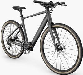 Электровелосипед FIIDO Gravel C21, серый, 250Вт цена и информация | Электровелосипеды | kaup24.ee