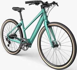 Электровелосипед FIIDO Gravel C22, зеленый, 250Вт цена и информация | Электровелосипеды | kaup24.ee