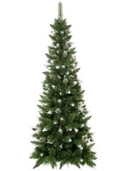 Алмазная сосна тонкая елка, 250 см цена и информация | Новогодние елки | kaup24.ee