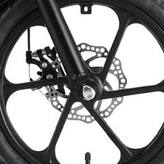 Электрический велосипед SKYJET 16 1S черный цена и информация | Электровелосипеды | kaup24.ee