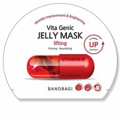 Näomask Banobagi Vita Genic 30 ml hind ja info | Näomaskid, silmamaskid | kaup24.ee